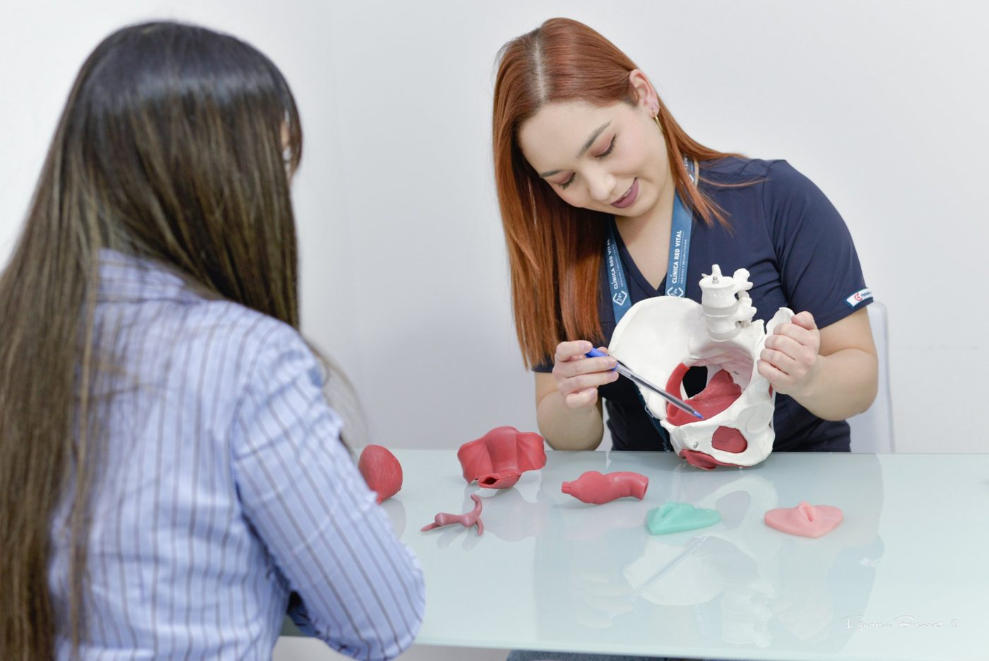 Profesional explica anatomía de la pelvis con un modelo a una paciente